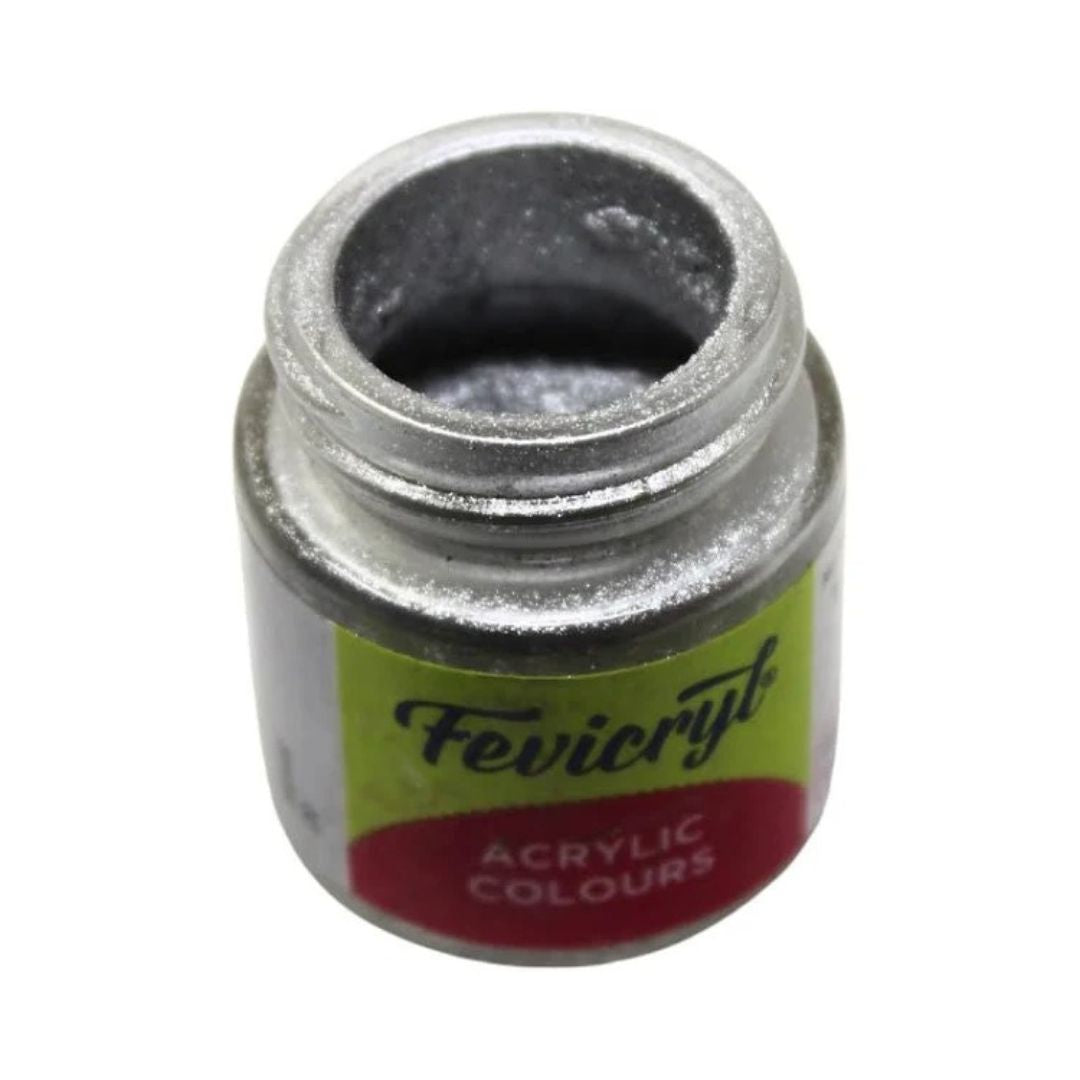 Fevicryl Metallic Silver Powder 20 5g