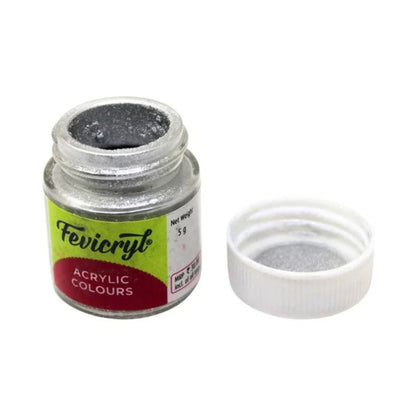 Fevicryl Metallic Silver Powder 20 5g