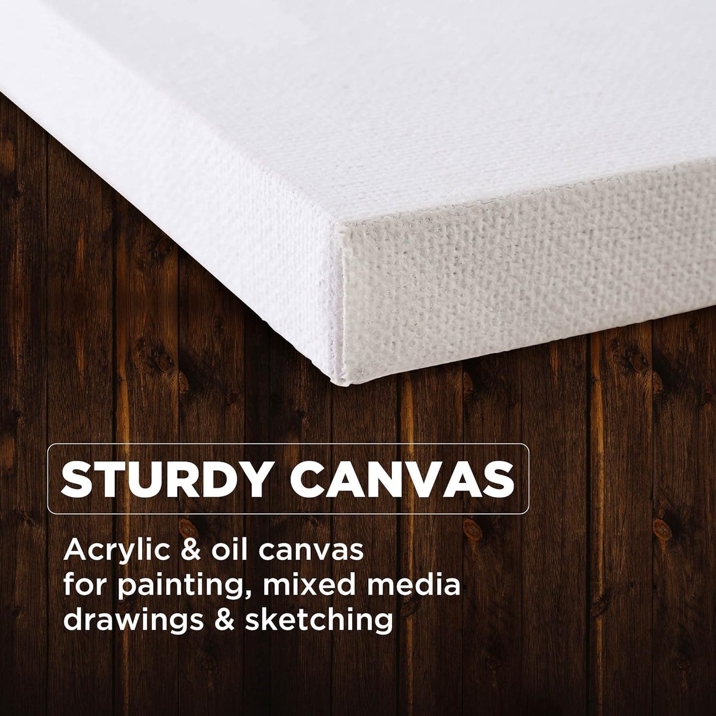 Fevicryl Fine Art Stretched Canvas